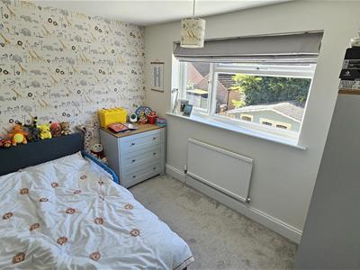 Picture 24